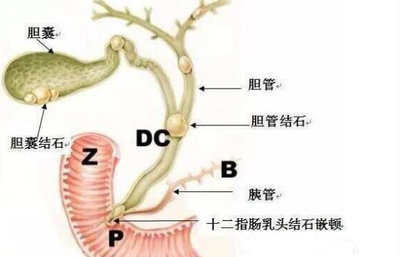 司孚润是真的假的,司孚润效果怎么样