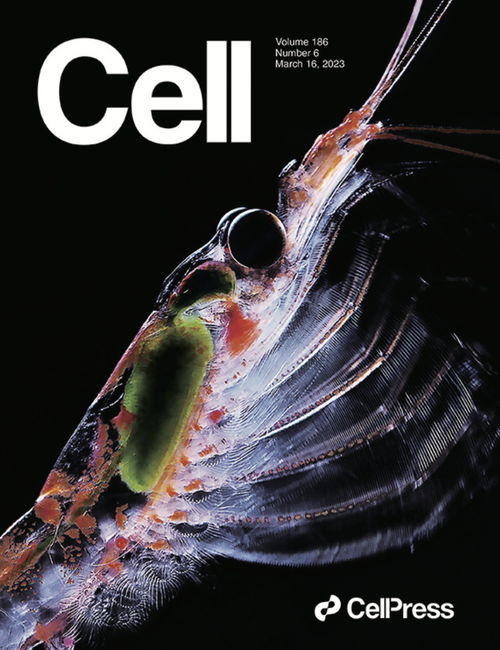 破译南极磷虾基因组图谱,黄海水产研究所揭秘 海上金矿 的生命答案 山东好成果