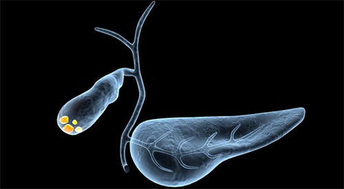 头痛 肩痛 肚子痛 忍忍就过 有些痛真的不容忽视,可能是致命信号