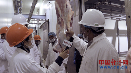 中巴牛黄差价求证:中国1公斤60万买不到 巴基斯坦没人要