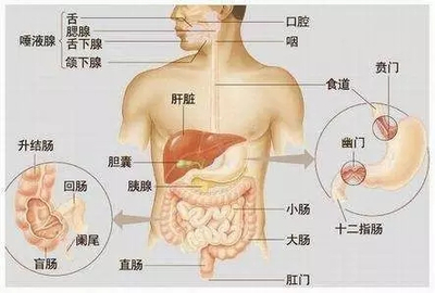 真相大追击】说好的胃病怎么变成胆结石了