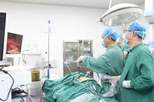 长了胆结石,必须切胆吗 听了医生的话,我恍然大悟