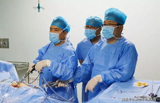 双镜联合保胆取石术 巧去胆结石