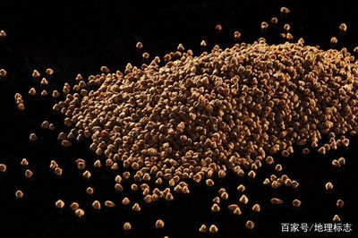 国家地理标志保护产品、证明商标药食同源降三高五谷之王靖边苦荞