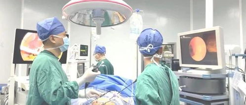 当发现胆结石后，我没有听从医生的建议