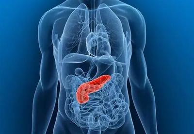 胆结石的危害与影响