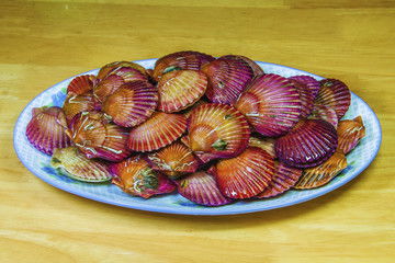 一盆生红皮扇贝图片素材下载 食品餐饮素材下的饮食制作图片素材 汇图网