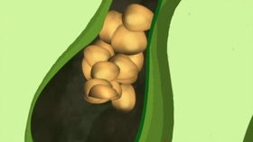 胆结石患者可以母乳喂养吗？解析与建议